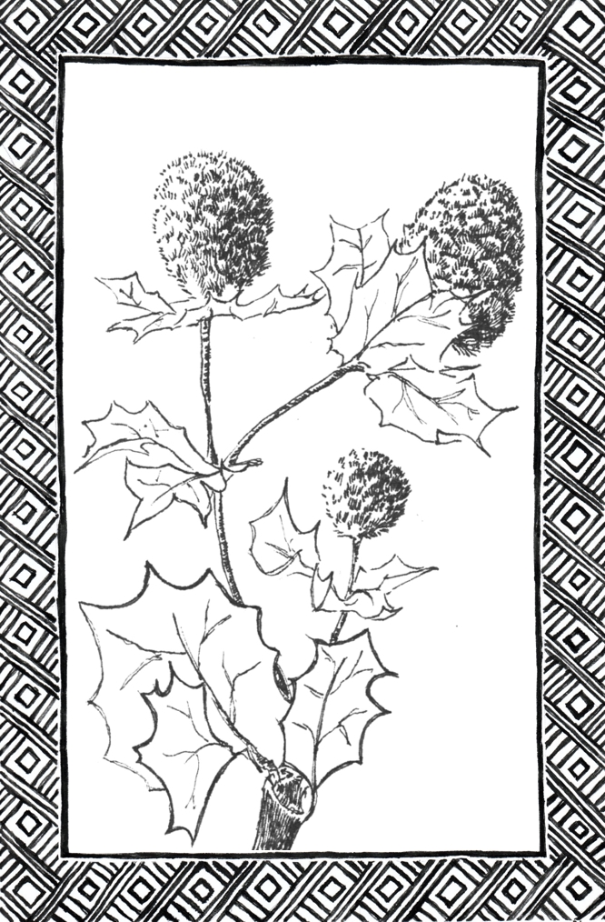 Slide 33
